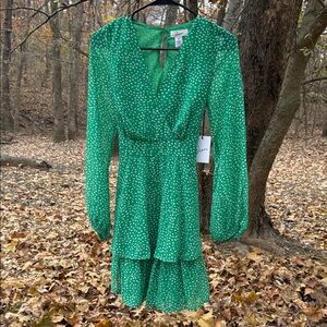 Japna Green Polka Dot Long Sleeve Dress